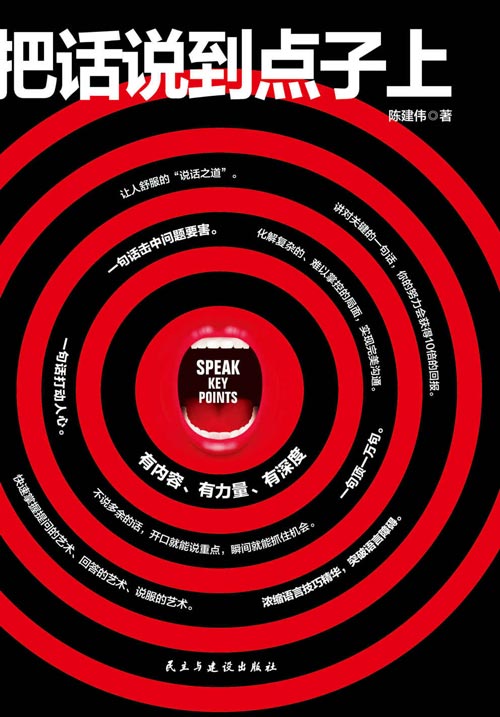 把话说到点子上封面