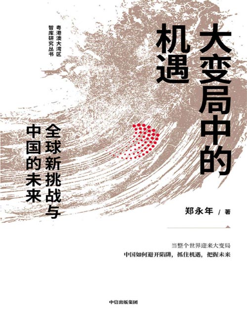 大变局中的机遇：全球新挑战与中国的未来封面