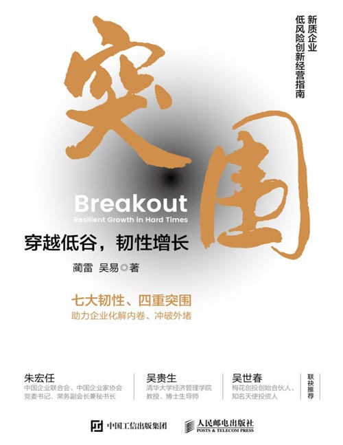 突围：穿越低谷，韧性增长封面